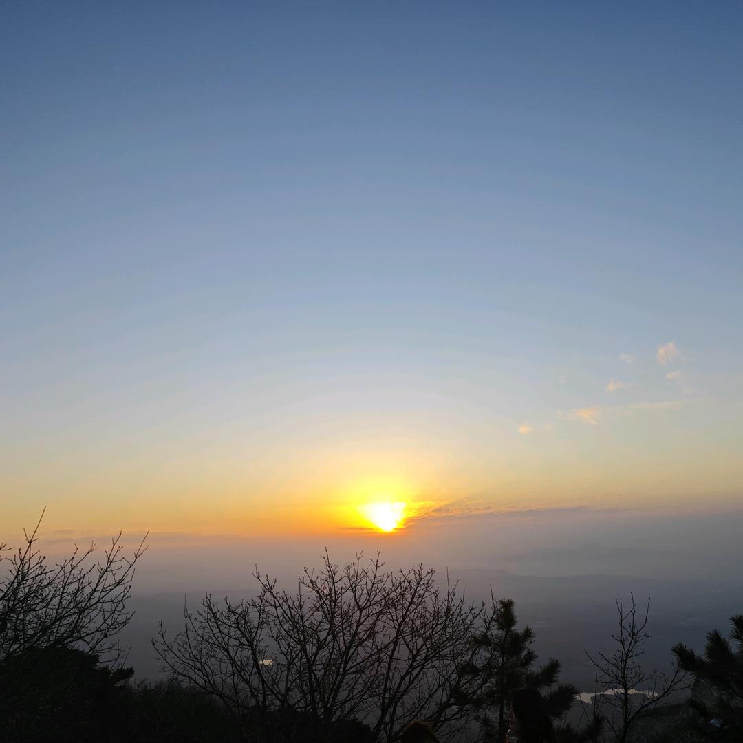 幸运的菠萝