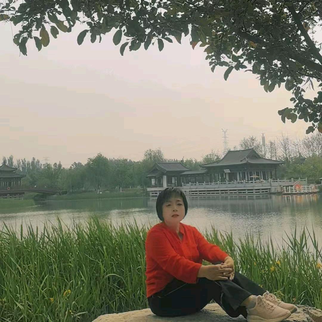 随缘张燕