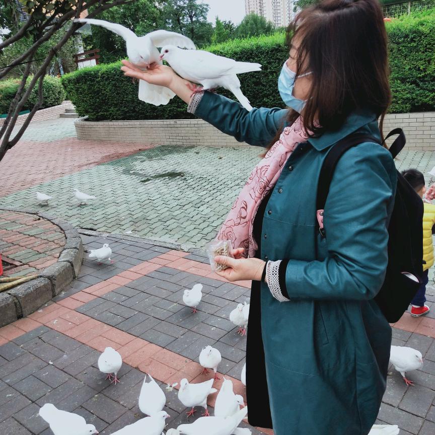 红姐