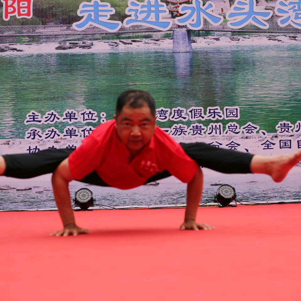 用户3164728938453和平鸽