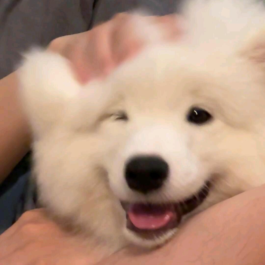 不看烟花。
