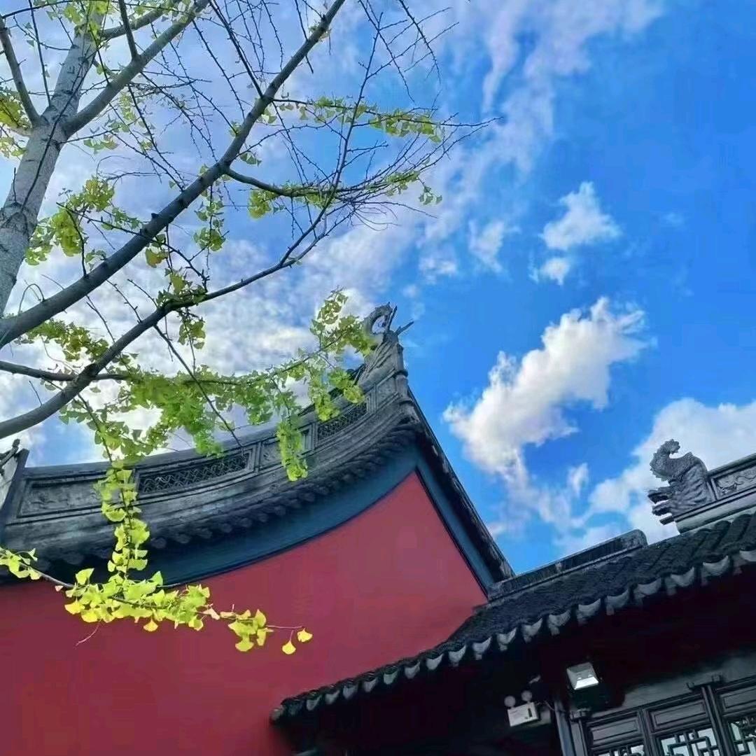 青宵