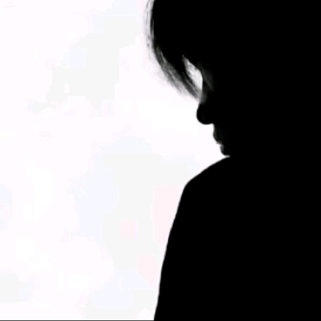 北街巷子里的猫