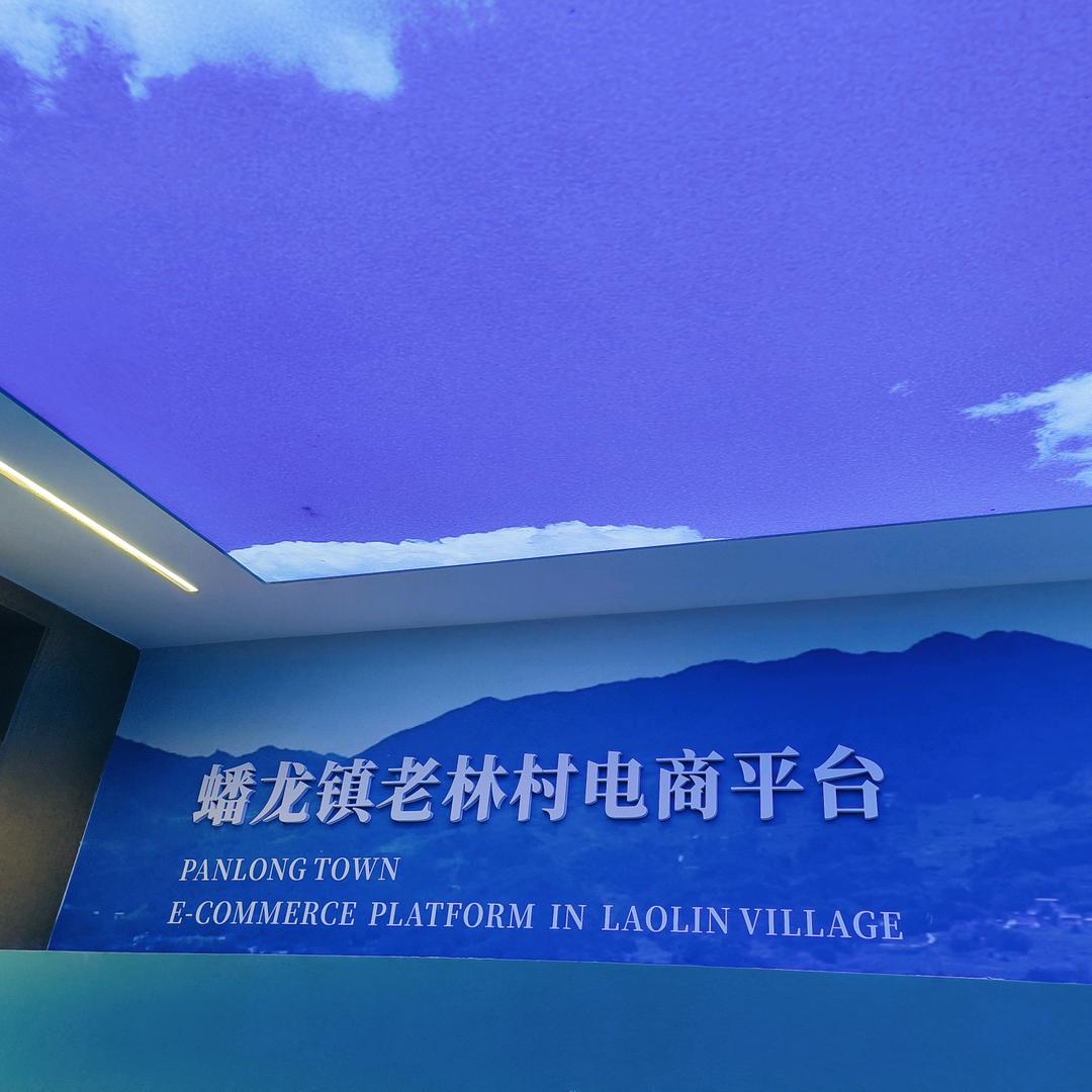 老林村电商