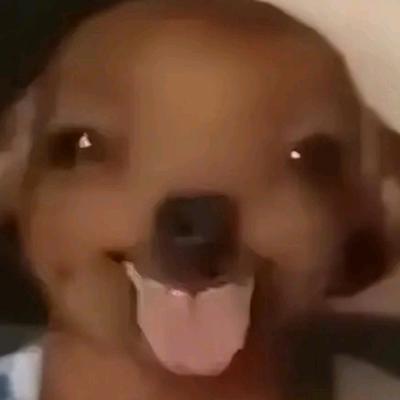 糯米鸡