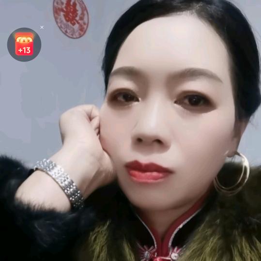 独立流浪