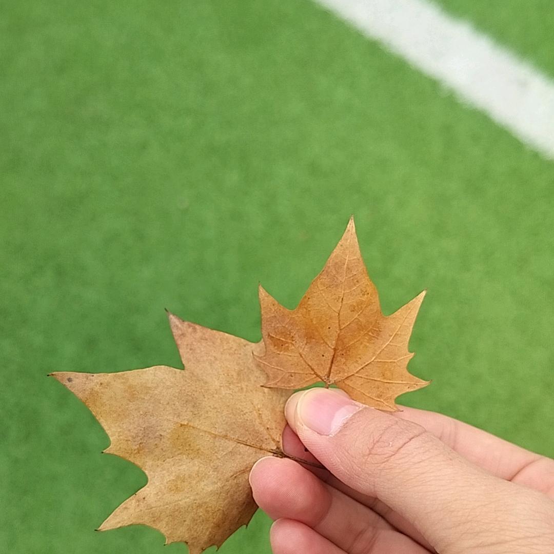 呐thing