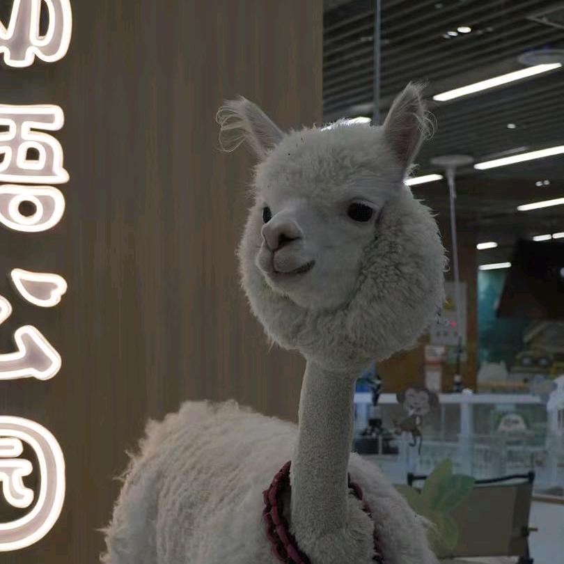 小象动悟公园（西安万达店）