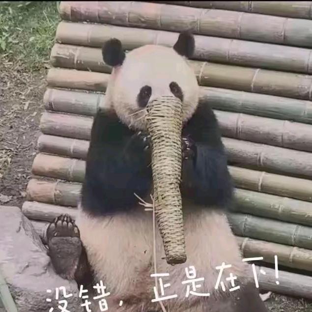 异异异异人之下