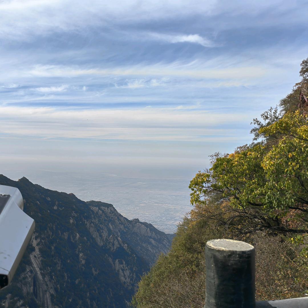 小海绵宝宝