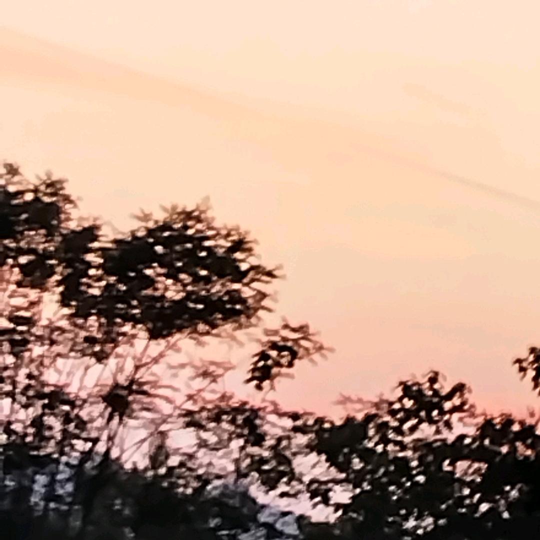 用户3631171196189