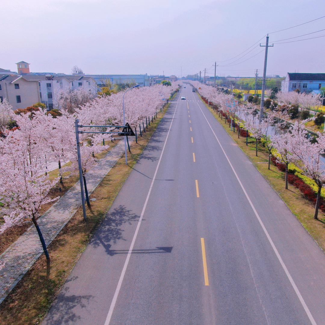 靖江市马桥镇马桥村