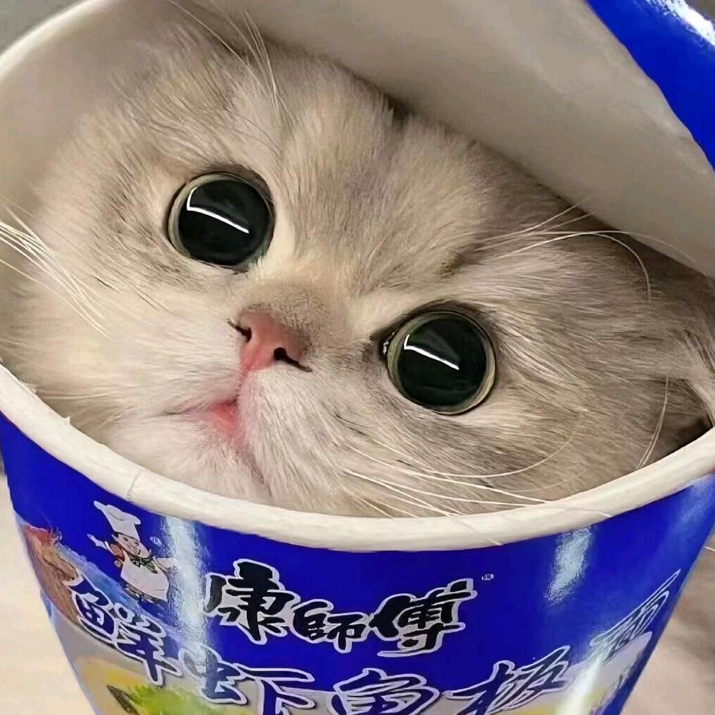 野原广志