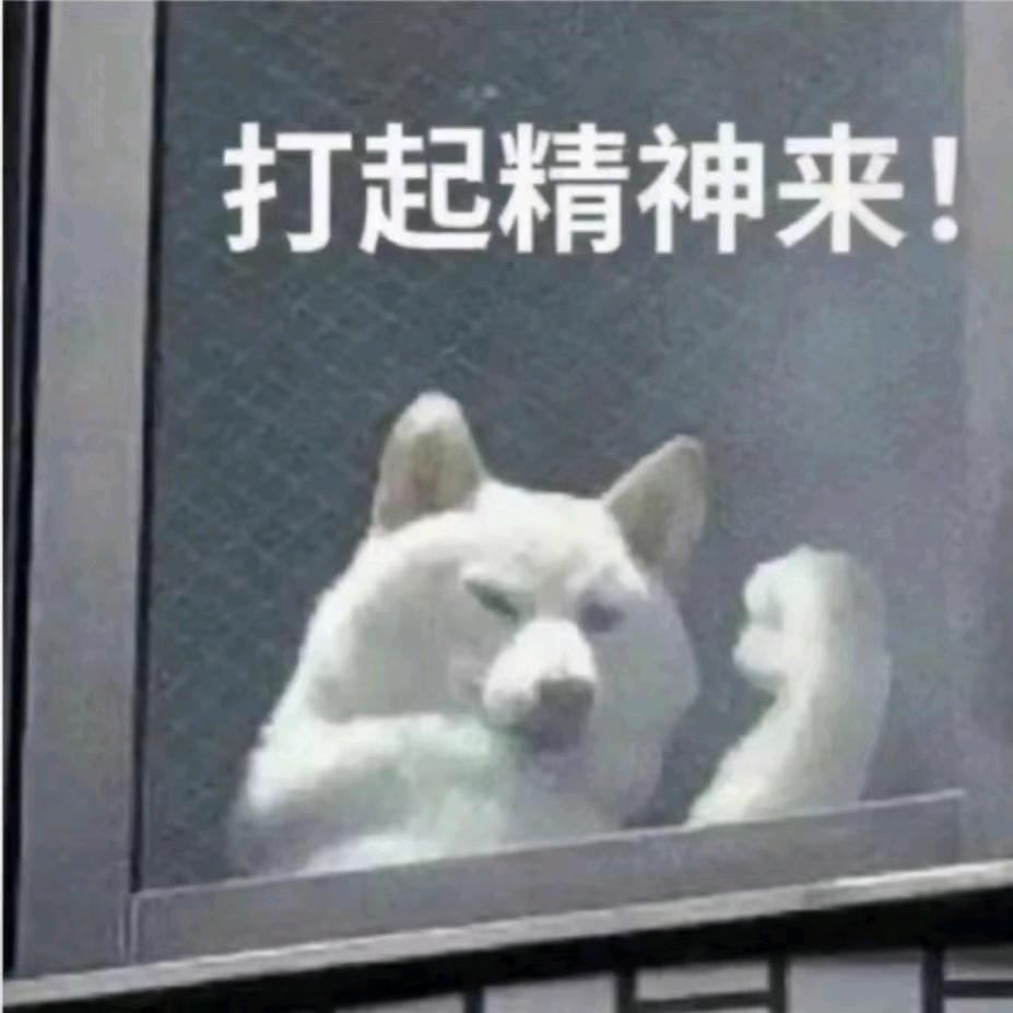 不要夯烎
