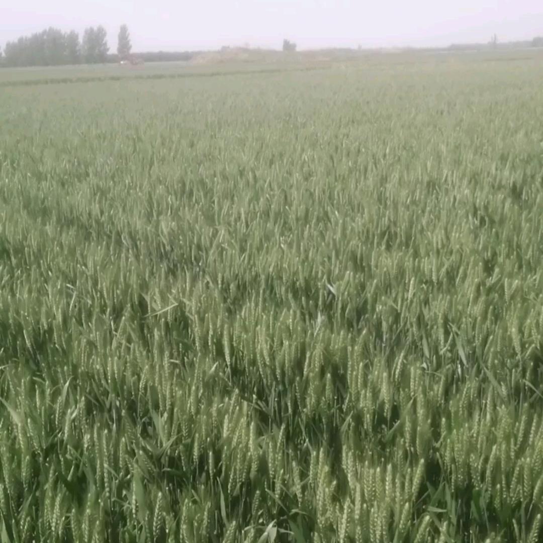 自😀由自在👌