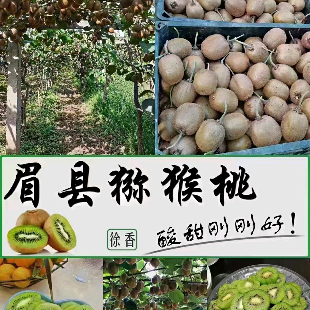 @猕猴桃