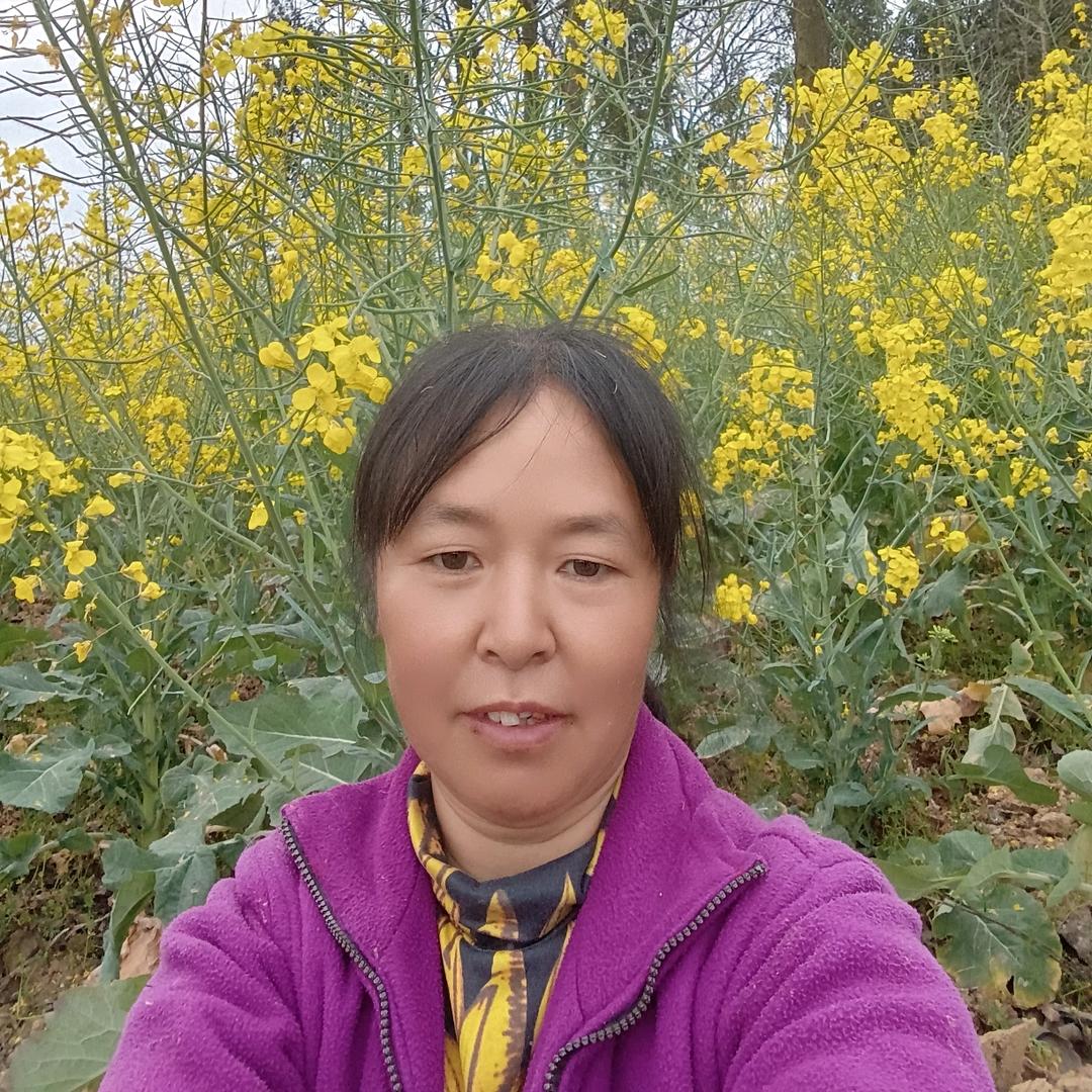 罗珍姐