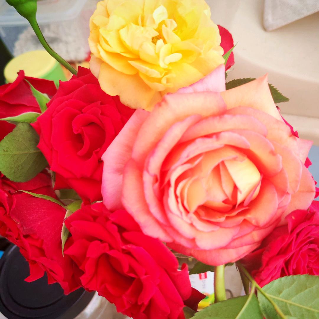 🥀ꦿ兰᭄💞