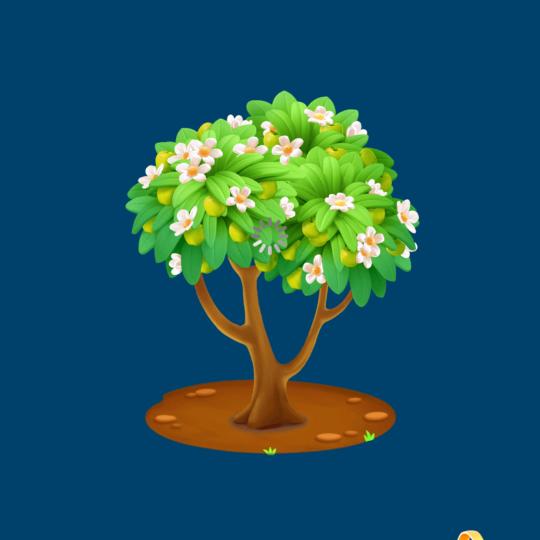 Mr yang（钱多多版）