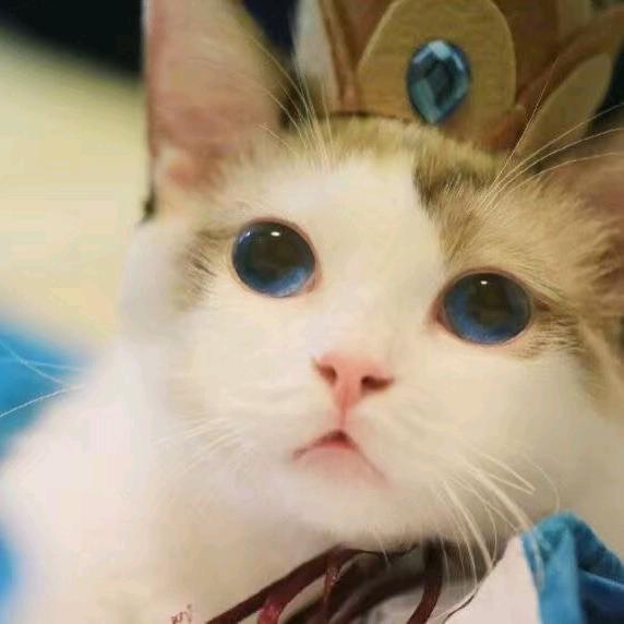 会唱歌的金同学🎤