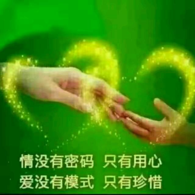独狼(8013)