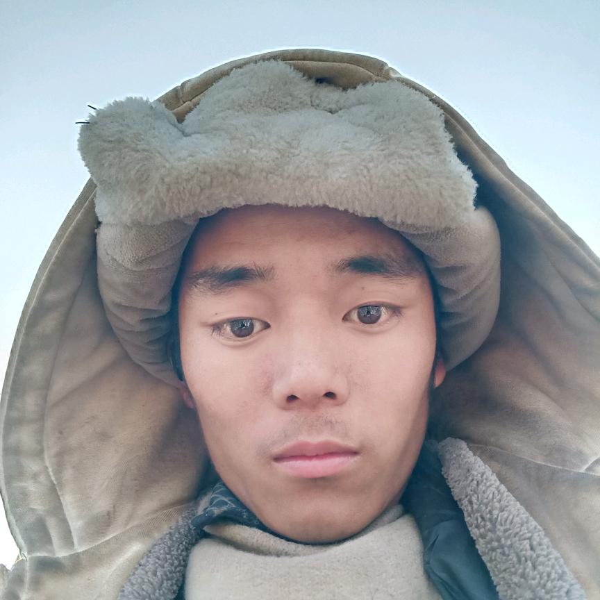 小树林。