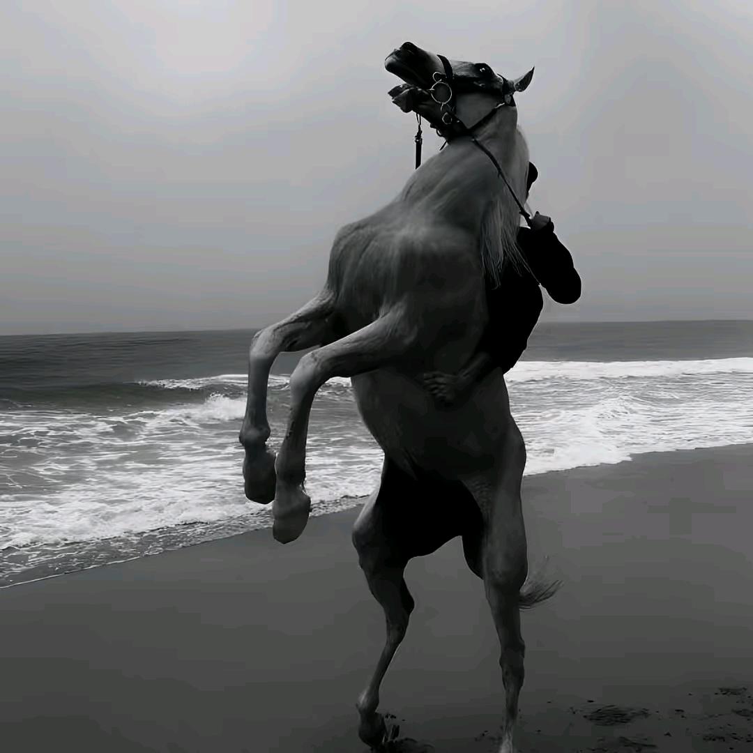 ♥