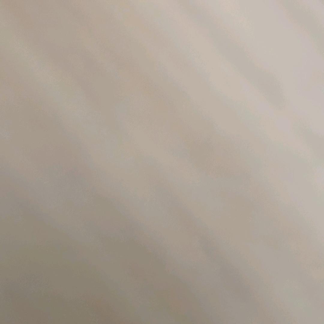 发货中。。。。