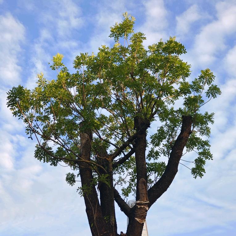 尚盛汽车维修服务站