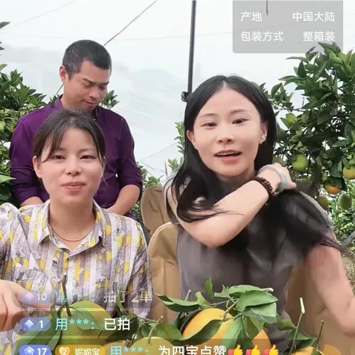 四宝甄选