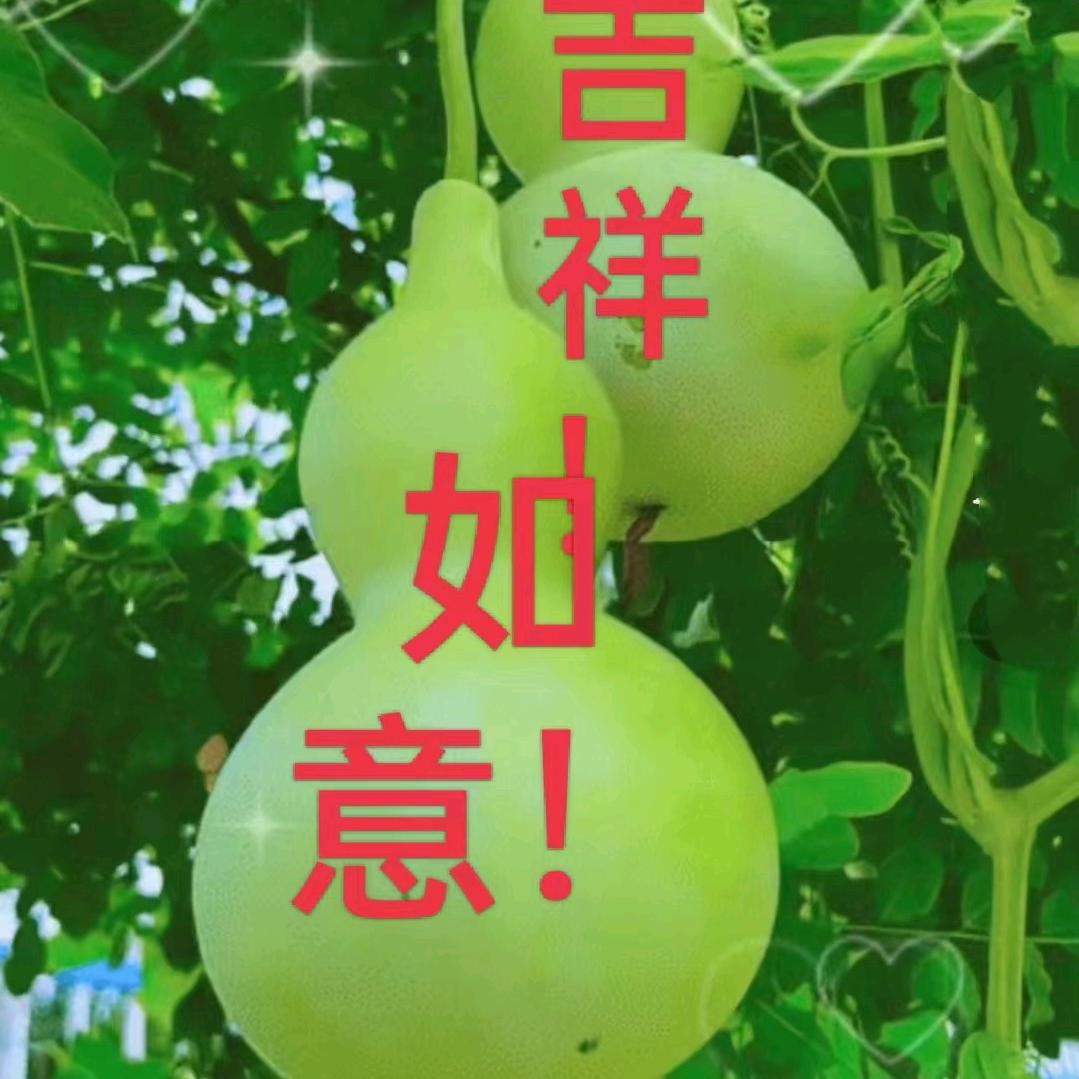 (*^▽^*) 平安福 (-^〇^-)