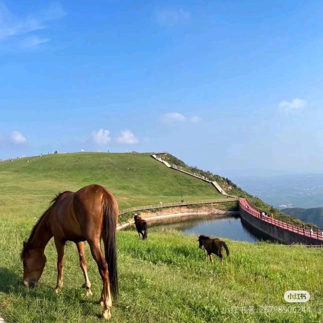 伏羲山凤泉湖小马高原团购
