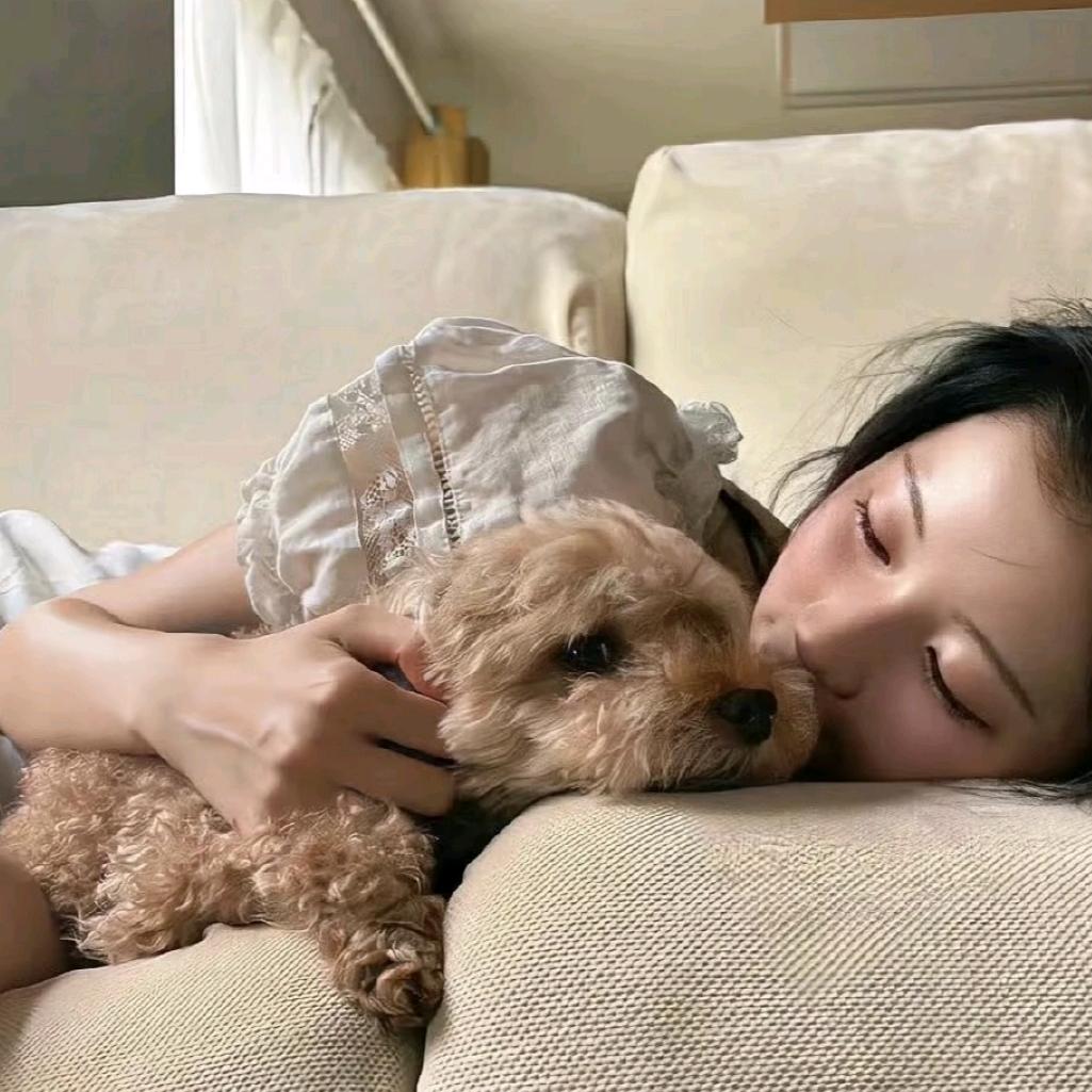 小訫.