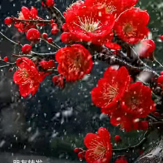 我不告诉你