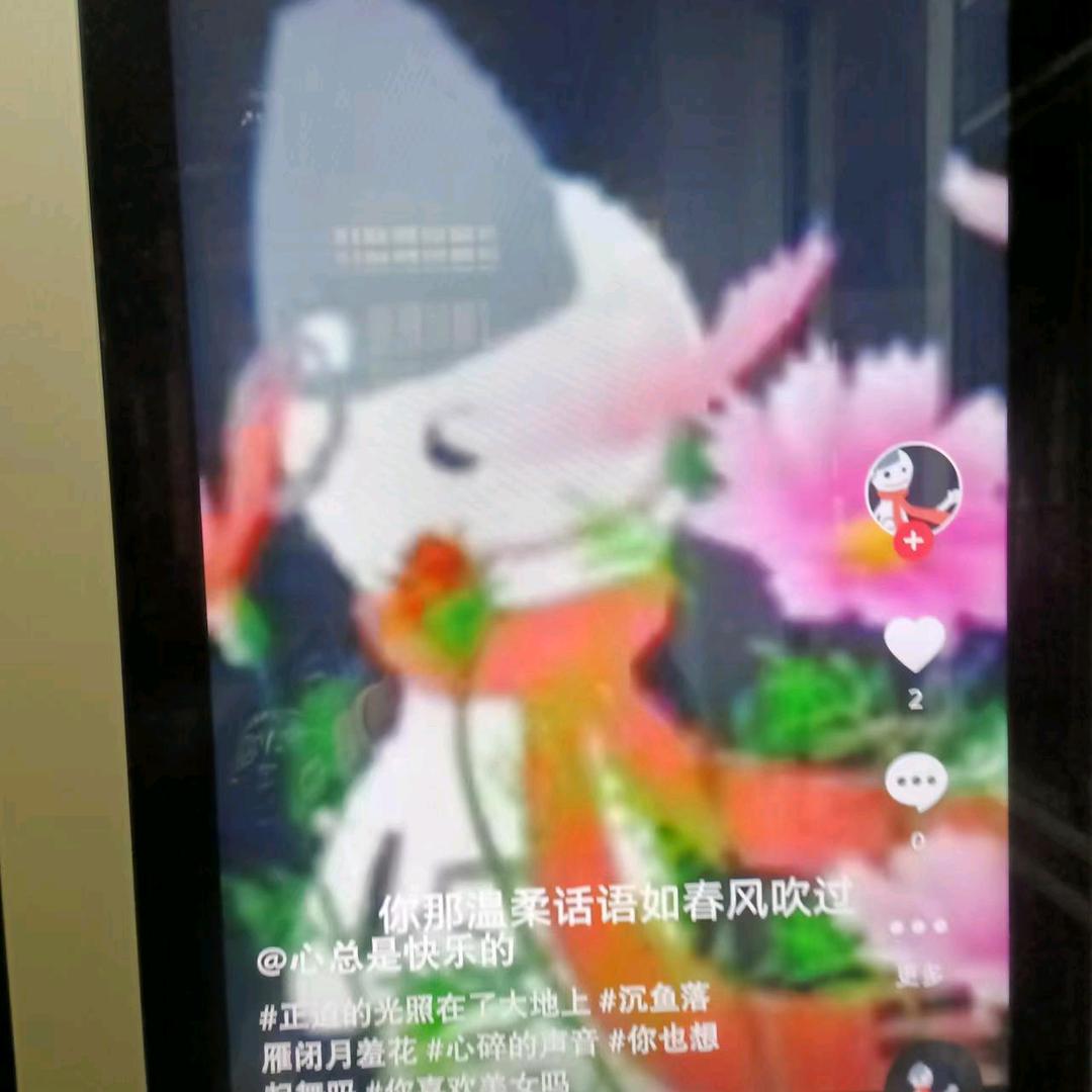 朱伟