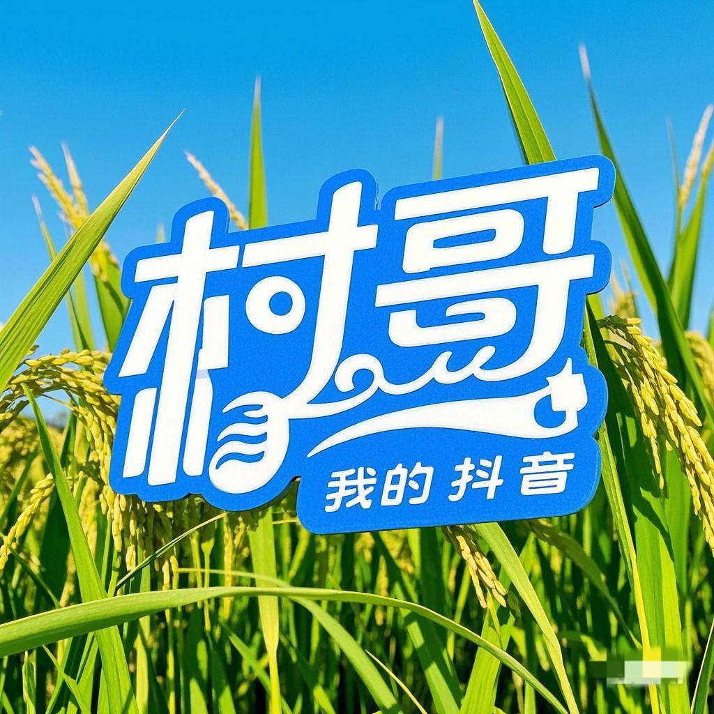 村哥