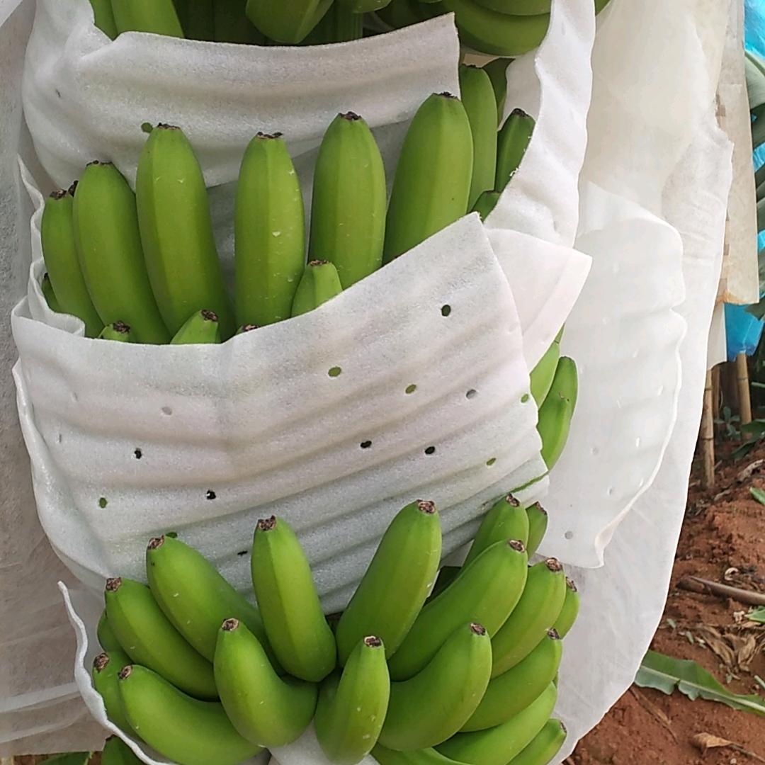 云南包装队小陈