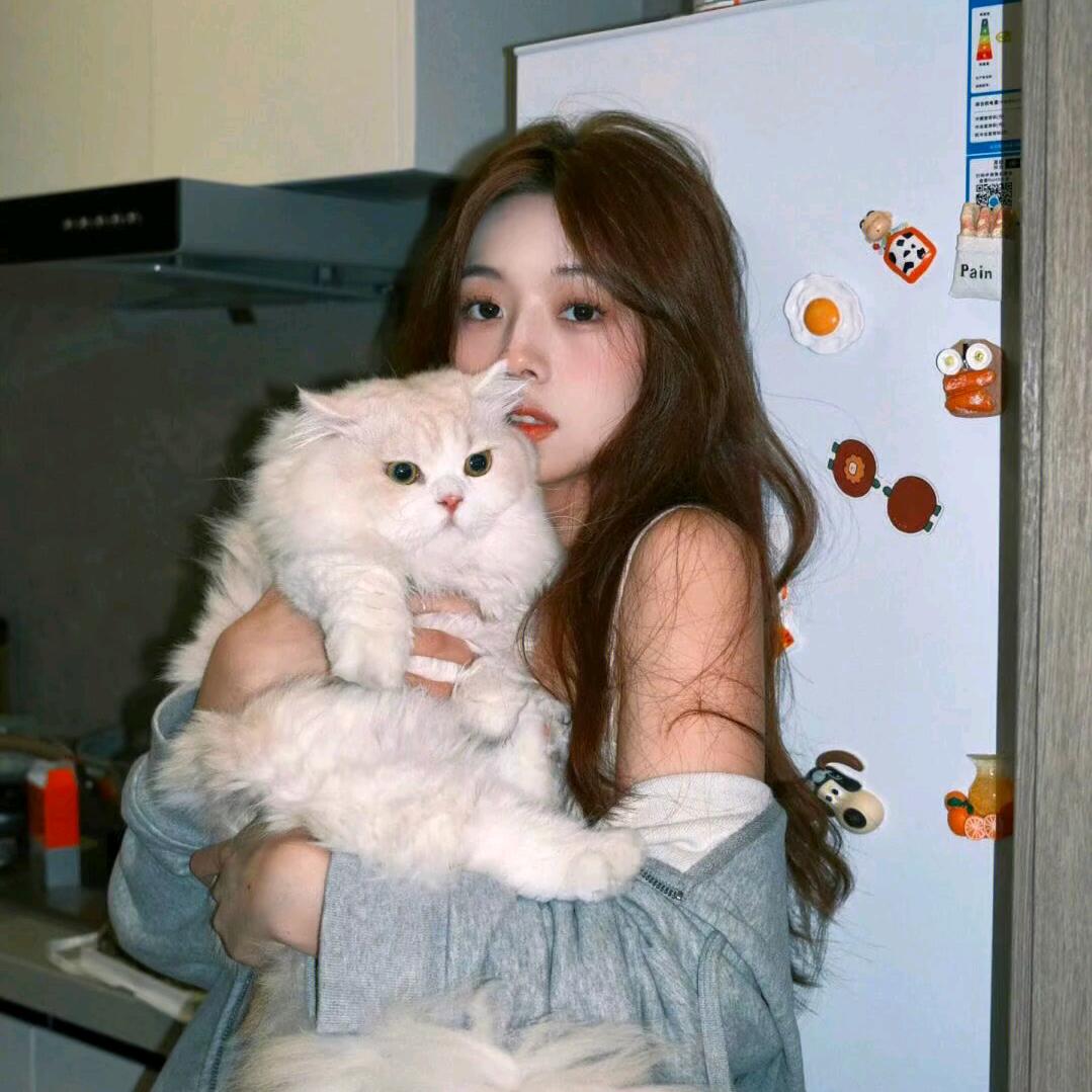 𝓧𝓲𝓮𝔂𝓾𝓽𝓲𝓷𝓰