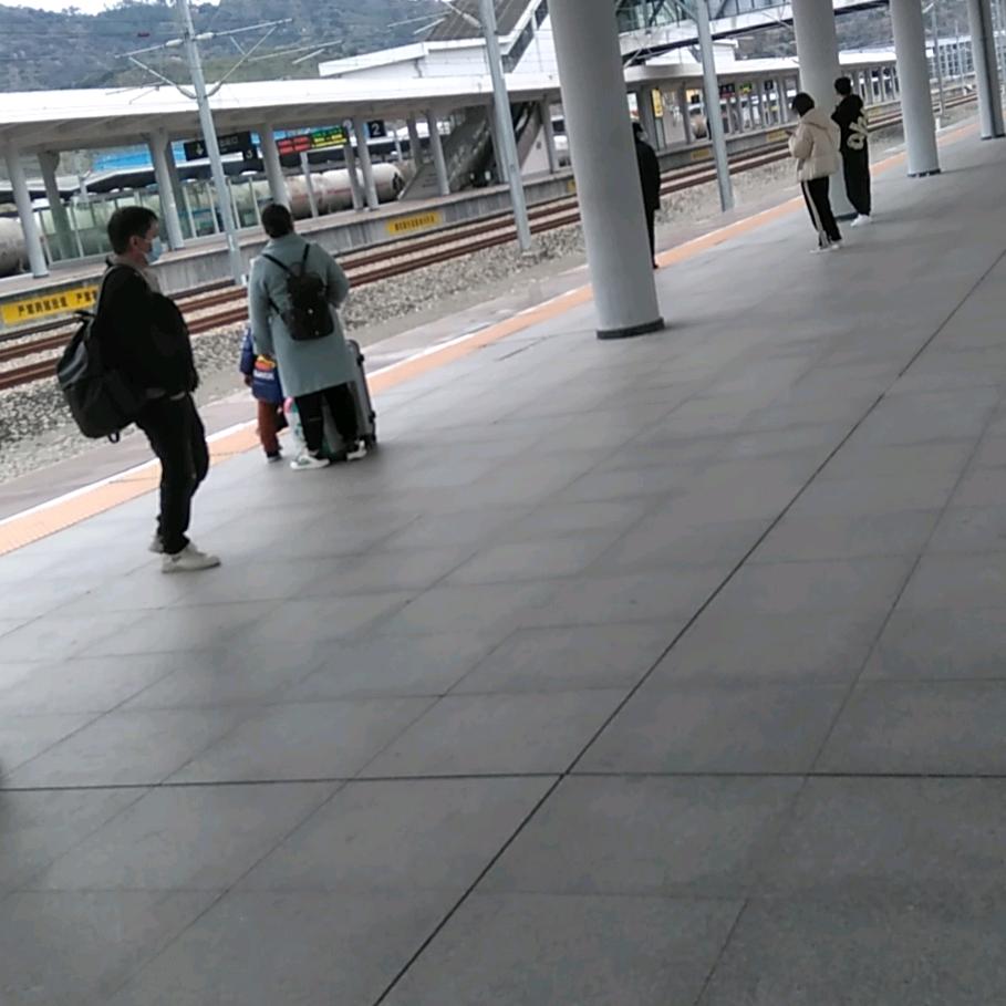 翠竹清风