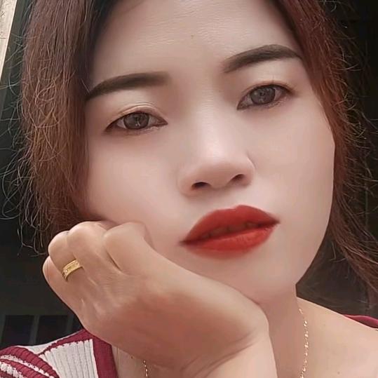 杨杨