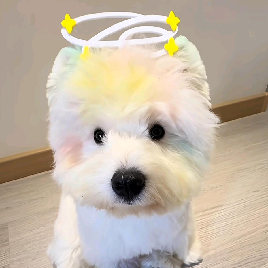 梓缡（明日方舟）