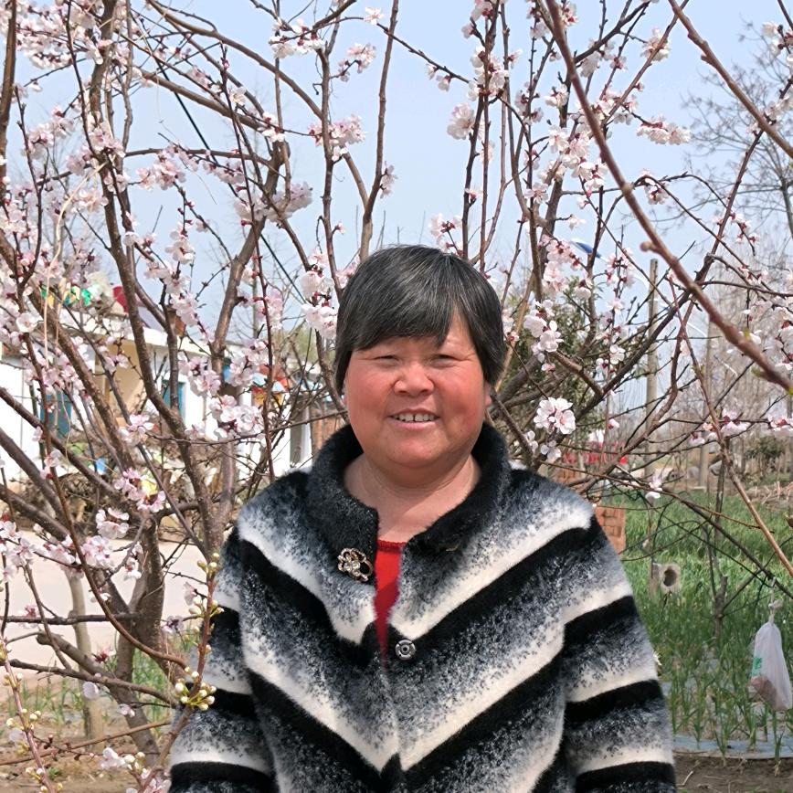 魏丽