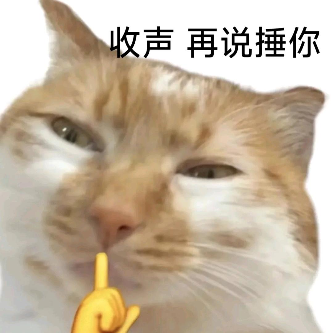 两眼一睁就是看995头像