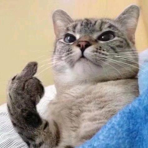 小萌小萌小萌芽