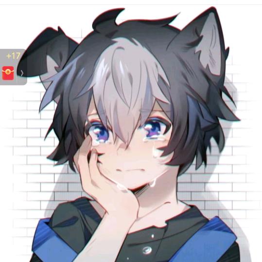 @芬芬