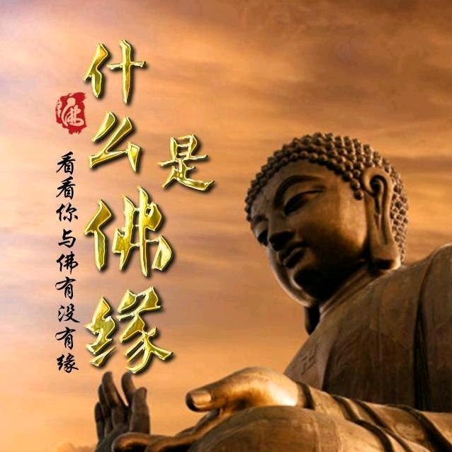 佛渡有缘人(观香小董）