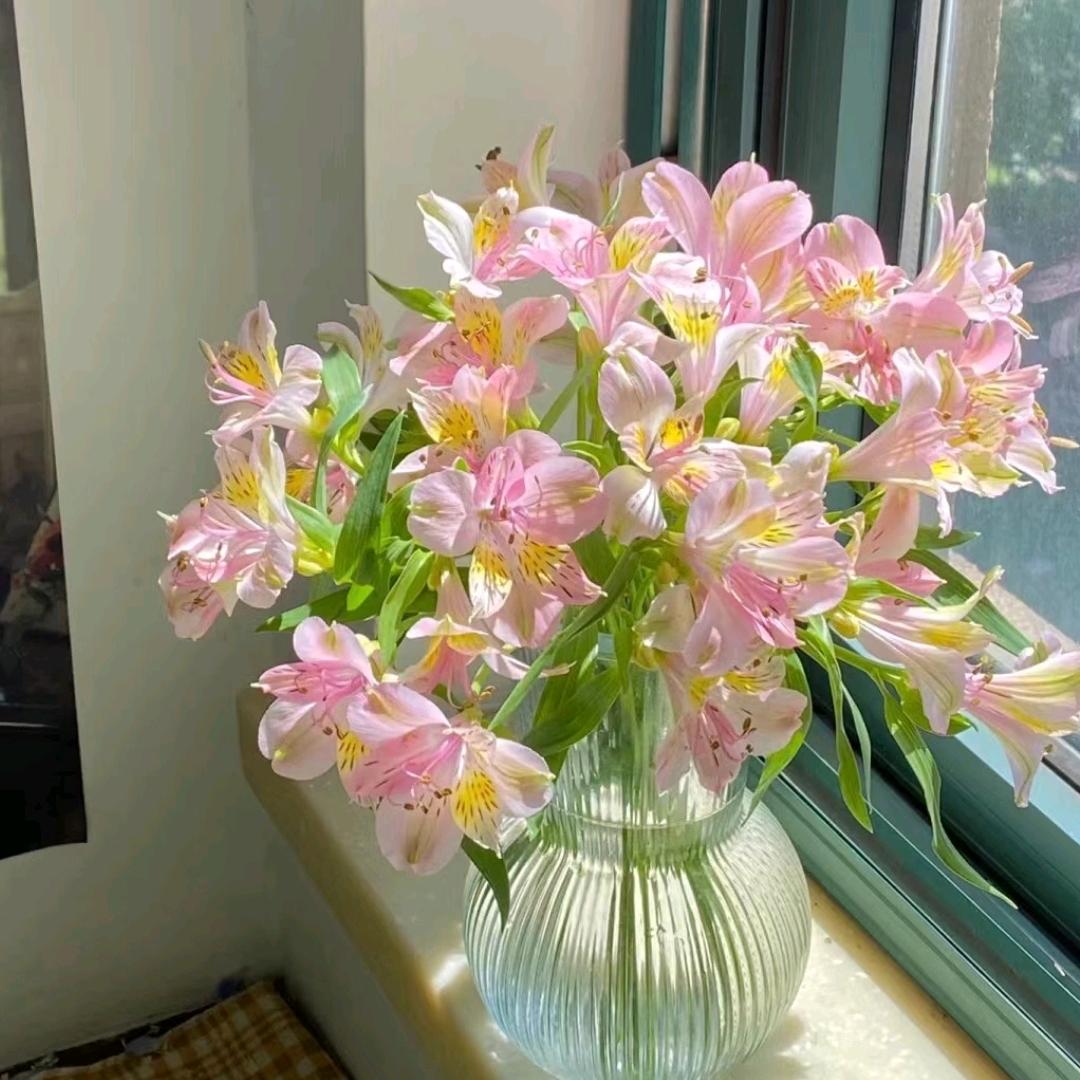 慧花居鲜花精选生活鲜花