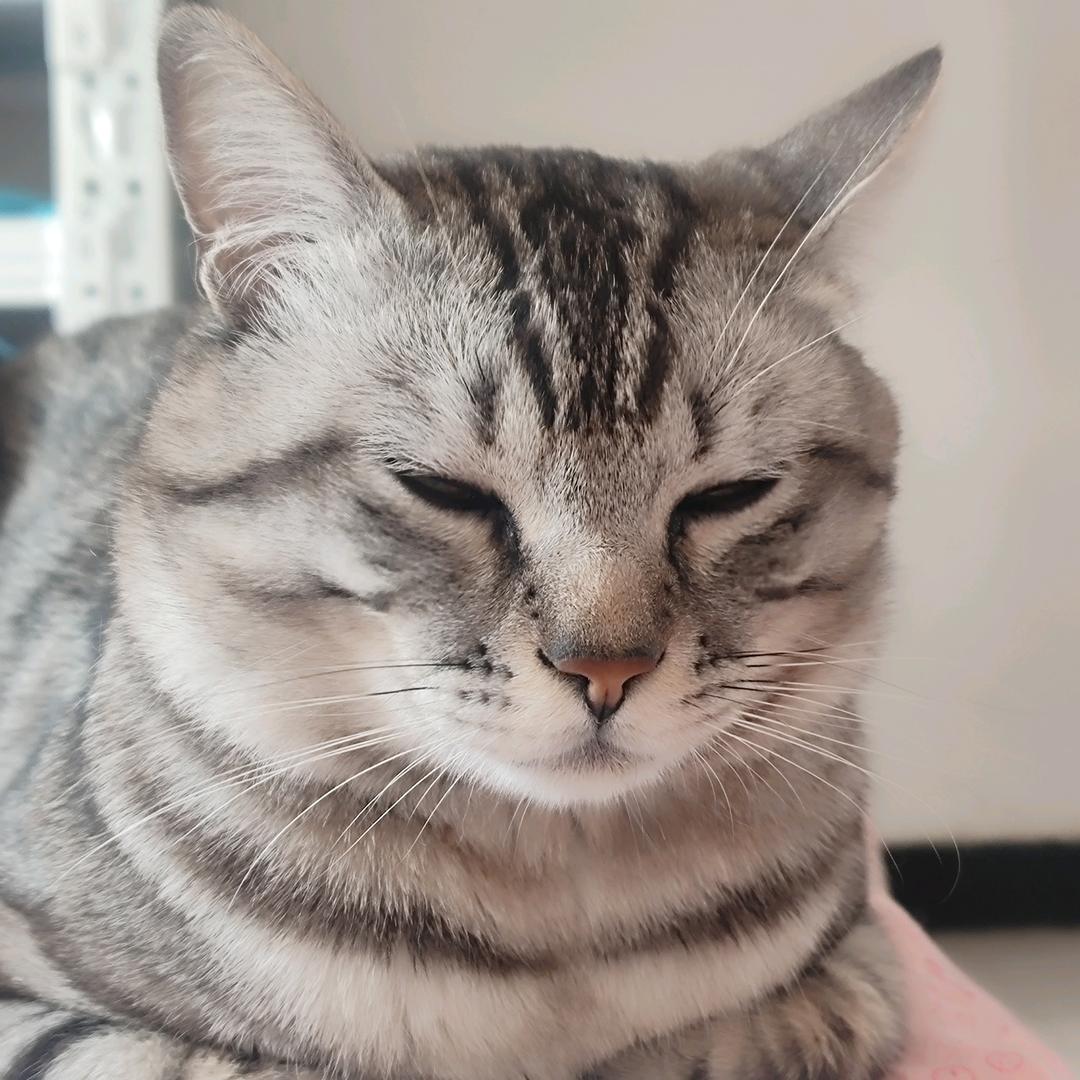 笑嘻嘻