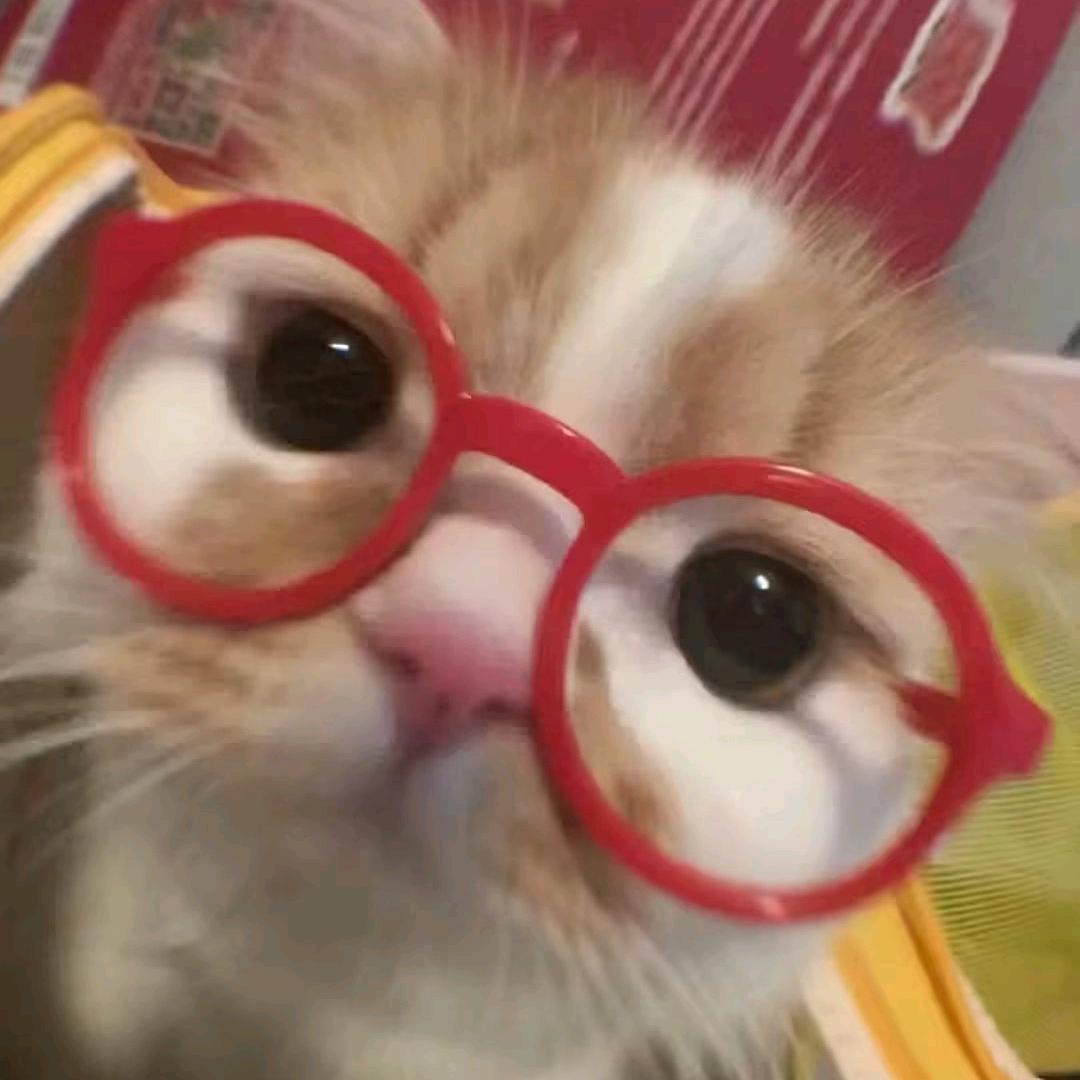 Hh.