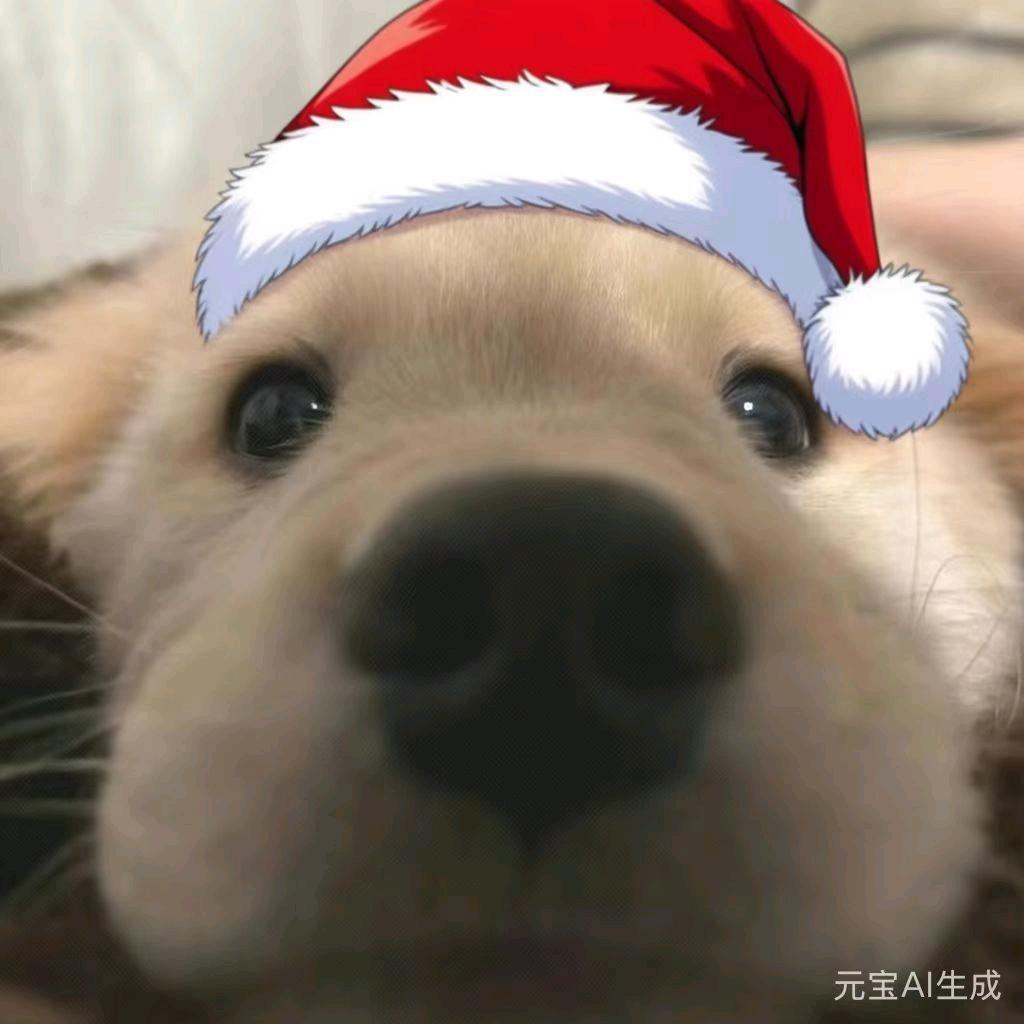 失忆.